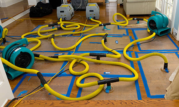 Professional Structural Drying And Dehumidification technician working in Auburn, KS