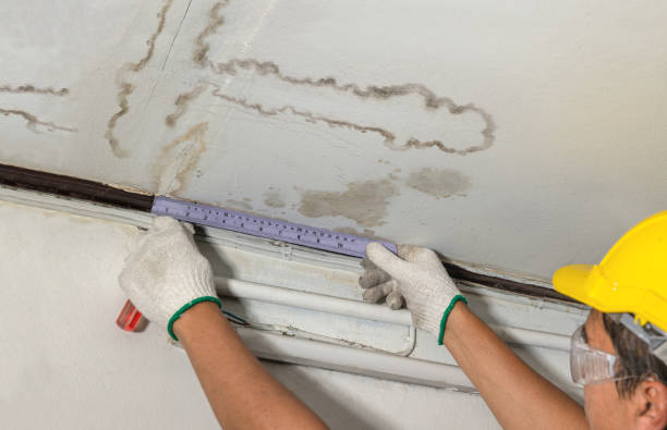 Affordable Structural Drying And Dehumidification solutions in Auburn, KS